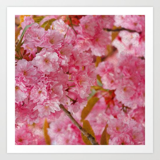 Cherry blossom #4 Art Print