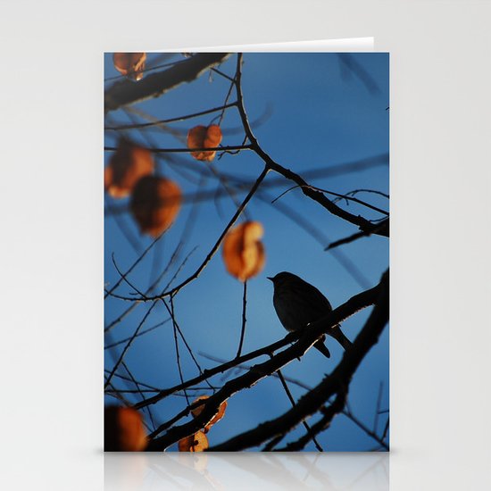 Little Bird Stationery Cards