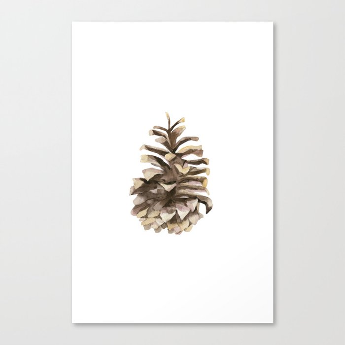 Pine cone. Canvas Print