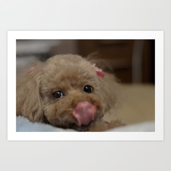 dog Art Print