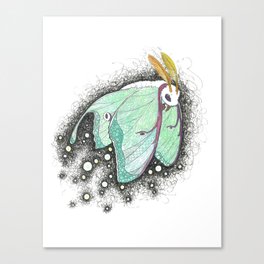 Luna Moth Canvas Print