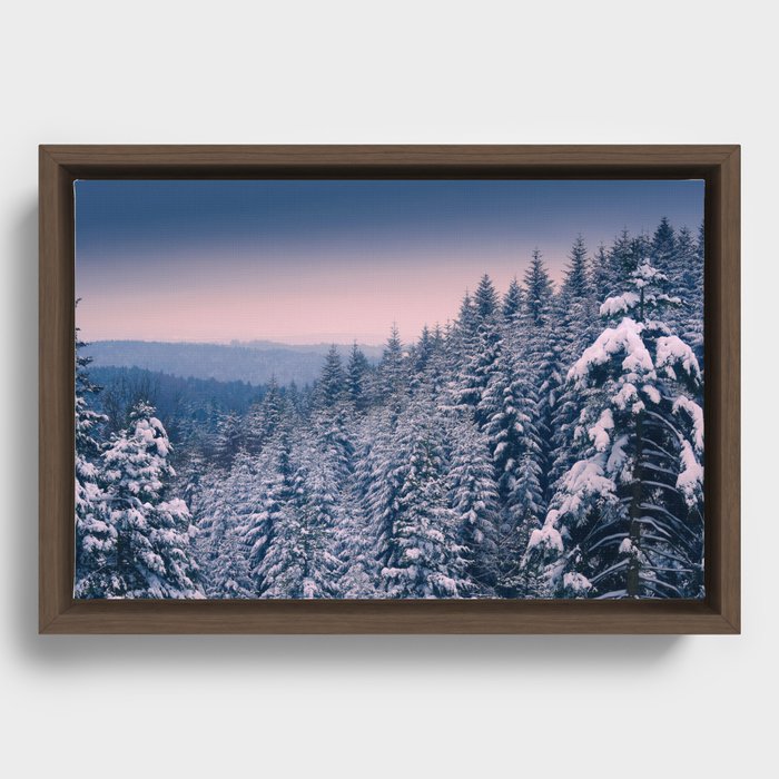 Winter view 2 Framed Canvas