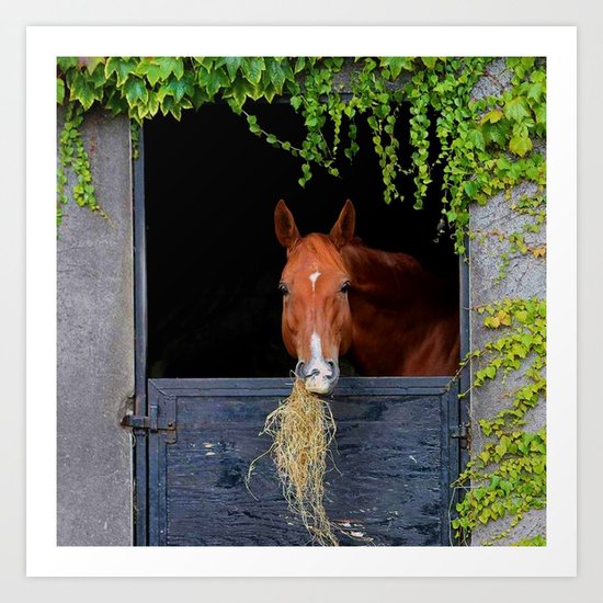 Home is where the Horse is Art Print