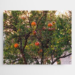 The Pomegranate Tree | Fruit Tree in Greece - Summer Travel Photography on the Greek Islands, Europe Jigsaw Puzzle