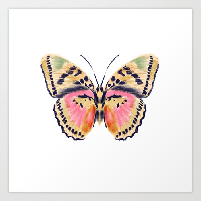 Butterfly Study no. 14 - butterfly art, watercolor butterfly, watercolor butterflies, painted butterfly, butterfly art, pink and yellow butterfly Art Print