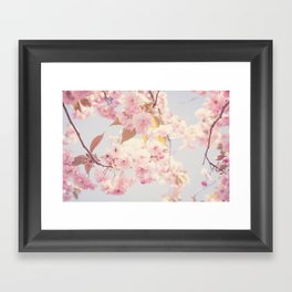 Cherry blossoms Framed Art Print