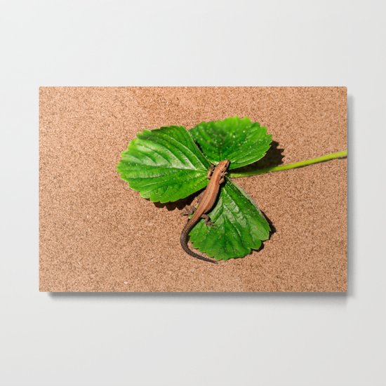 I am busy, I am tanning Metal Print
