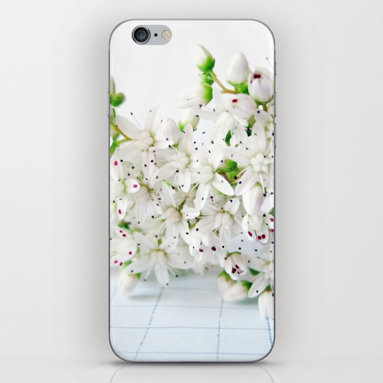 White Sedum Flowers iPhone & iPod Skin