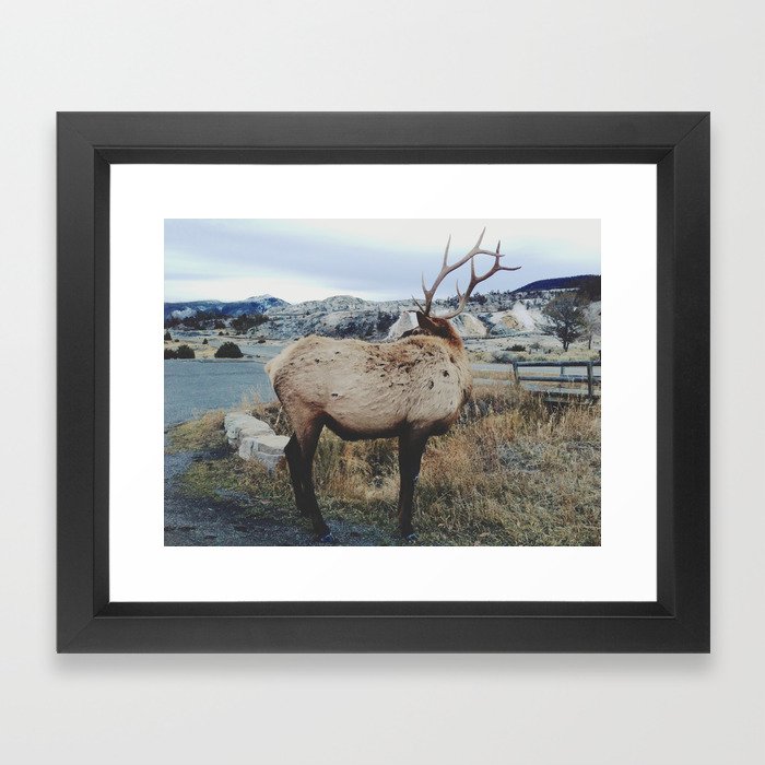 Mammoth Elk Framed Art Print