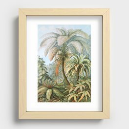 Vintage Fern and Palm Tree Art - Haeckel, 1904 Recessed Framed Print