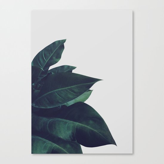 Enlighten Canvas Print