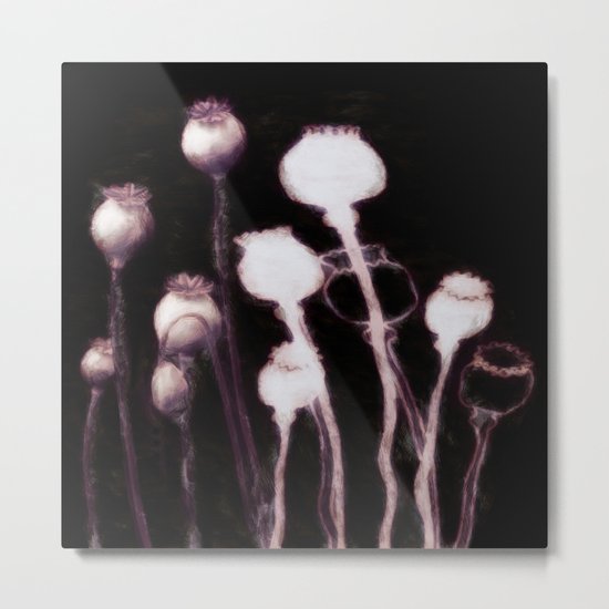 Poppy Variation 9 Metal Print