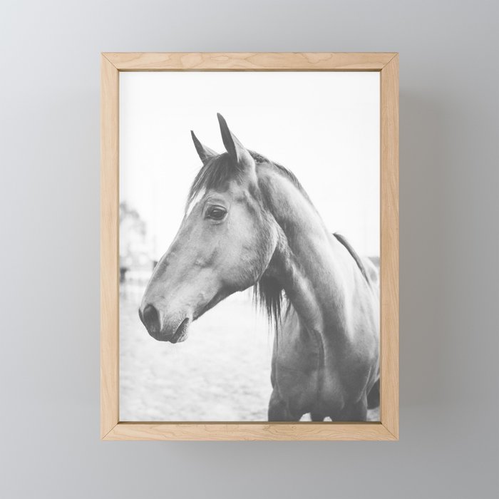 Framed Mini Art Print