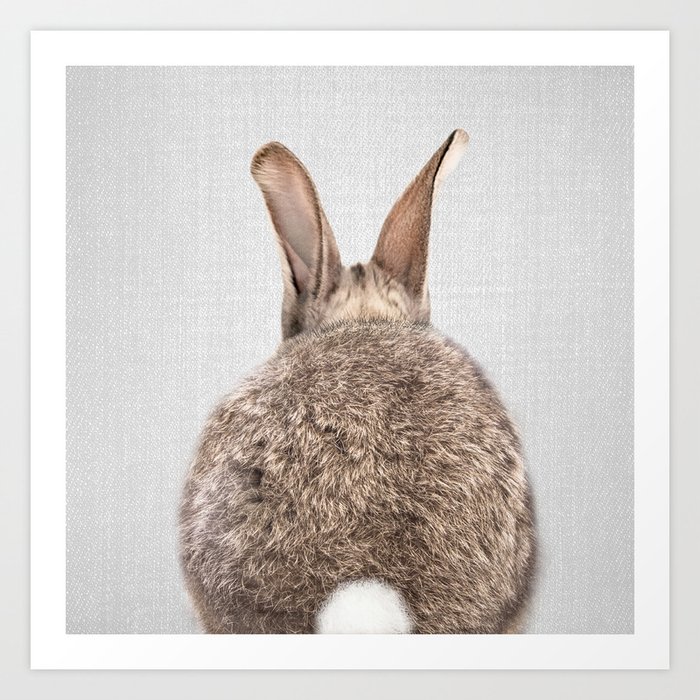 Rabbit Tail - Colorful Kunstdrucke Rabbit Tail - Colorful Kunstdrucke