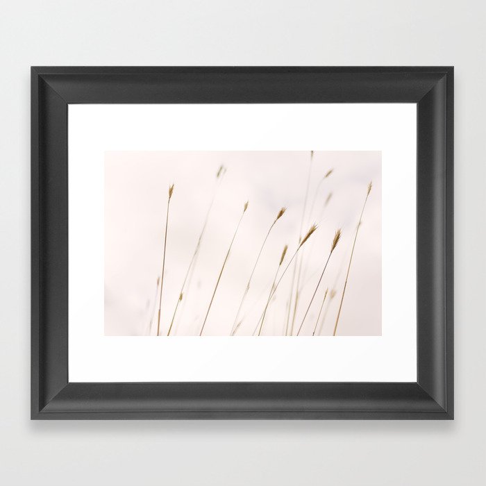 Tall grass against cloudy sky Framed Art Print