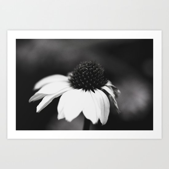 Free shipping on my iPhone cases, skins and pillows without inserts - ARTIST PROMOTION Art Print