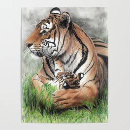 Mother's Love Tigress and a Tiger Cub - Colored Pencil Drawing Poster