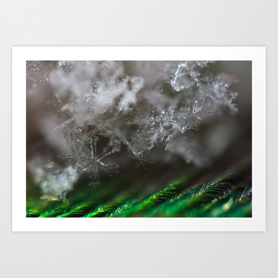 Winter Dream Art Print