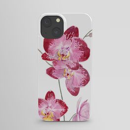Orchid 2 iPhone Case