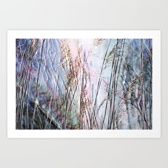 Magical Reeds - JUSTART (c) Art Print