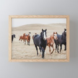 Wild Horses In the Field Framed Mini Art Print
