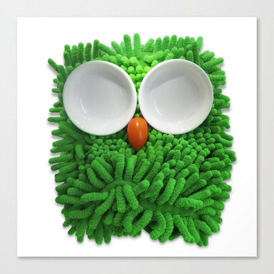 Hootie the House Owl! Canvas Print
