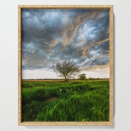 Stormy Day on the Plains - Tree Under Stormy Sky on Spring Day on the Plains of Kansas Serving Tray