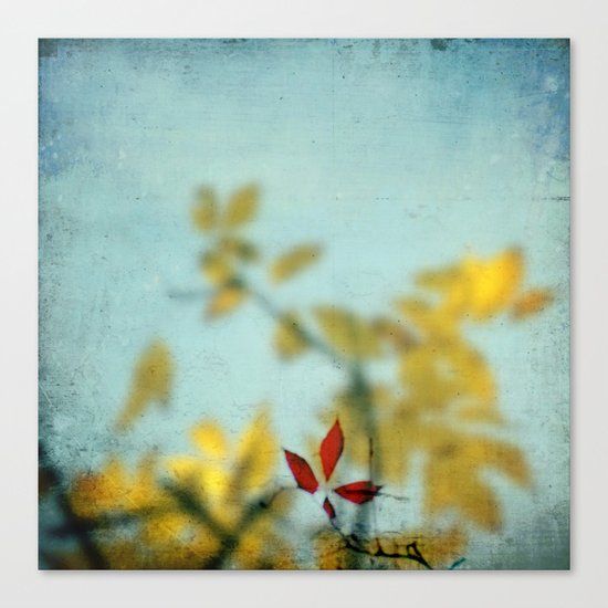 When Red meets Yellow Canvas Print