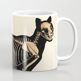 Vintage French zoological board - Cat skeleton Coffee Mug