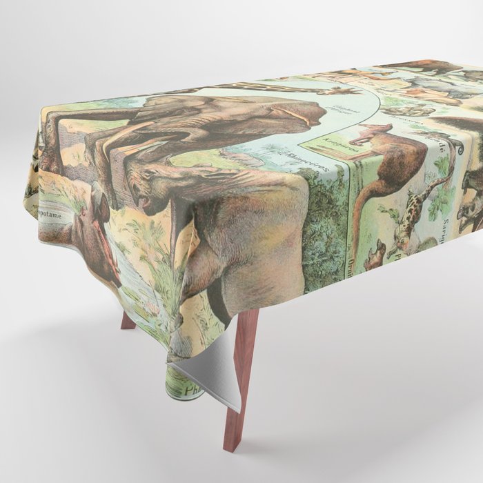 Mammal Illustration - Larousse Tablecloth