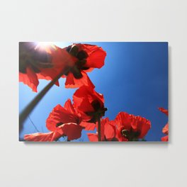 Poppies in the sky Metal Print | Flower, Poppyflower, Blume, Color, Photo, Flowers, Mohnwiese, Mohn, Nature, Digital 