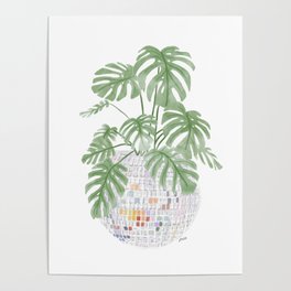 Disco Potted Plant Poster