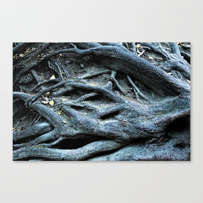 Tree Trunk Roots Natural Texture Abstract Canvas Print