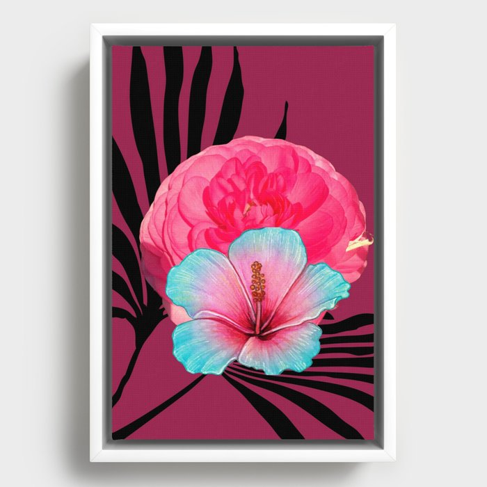 Pink Ranunculus and Hibiscus Art Print  Framed Canvas