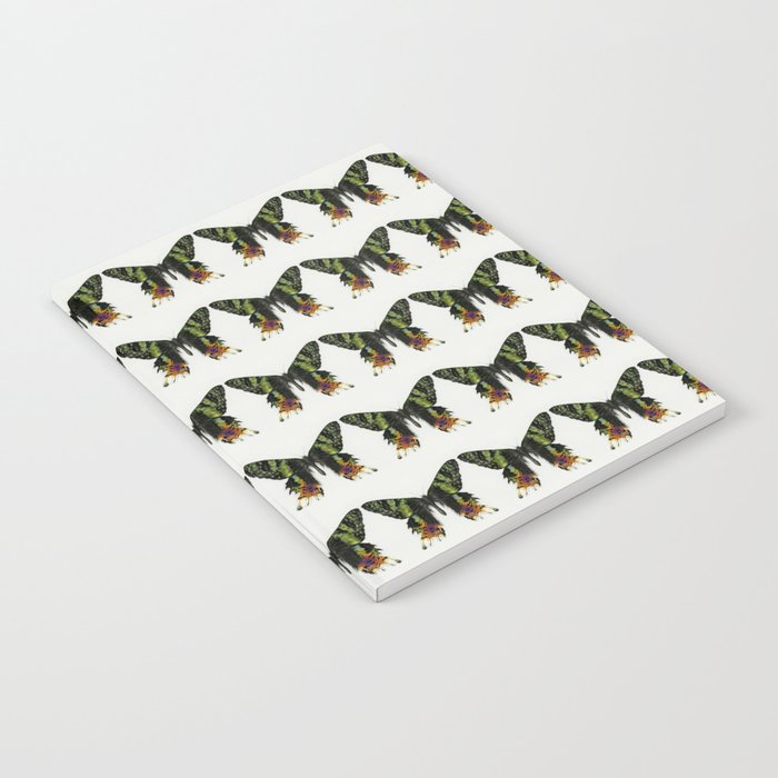 Colorful Madagascan Sunset Moth Notebook