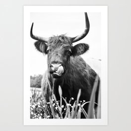 Scottish Highlander Art Print