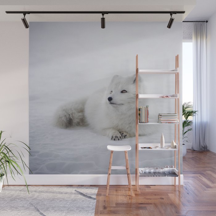 White snow arctic fox Wall Mural