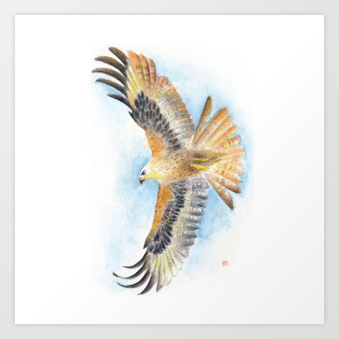 Red Tail Hawk Art Print
