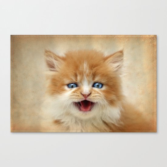 Where's My Dinner? Canvas Print