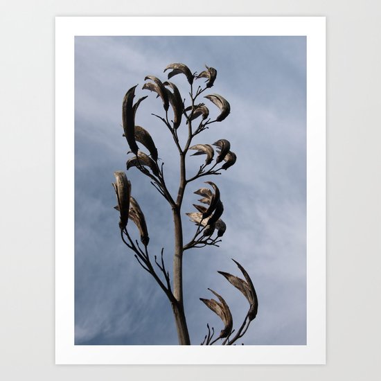 SCULPTURAL SEEDHEADS Art Print