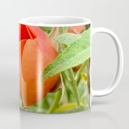 Coral Rosebud Coffee Mug
