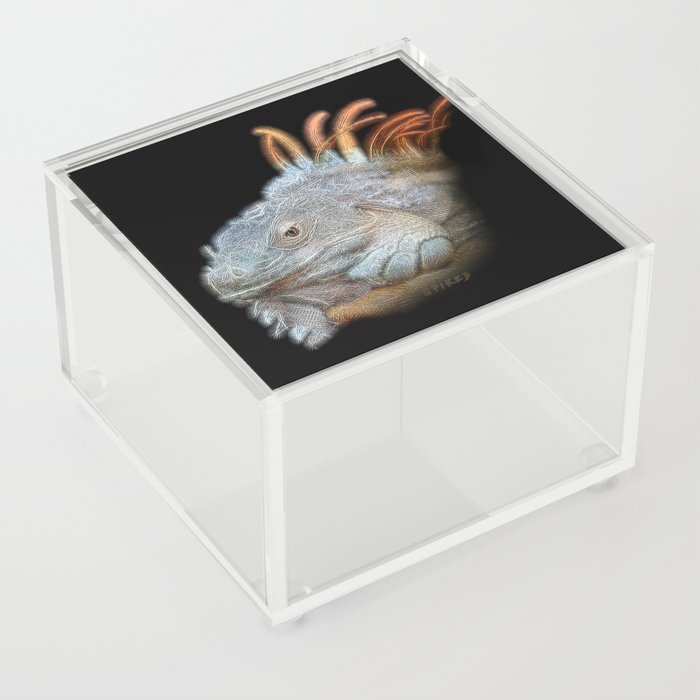 Spiked Electric Iguana Acrylic Box