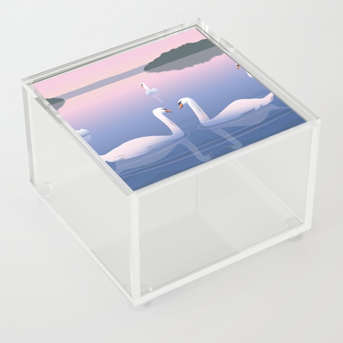 Swimming Swans on the Lake Acrylic Box