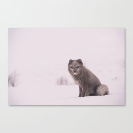 Snowy Sundays Canvas Print