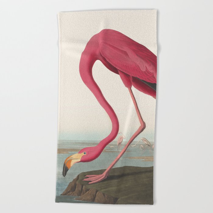Vinatge Bird Illustration, American Flamingo Beach Towel