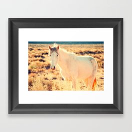 HORSE Framed Art Print