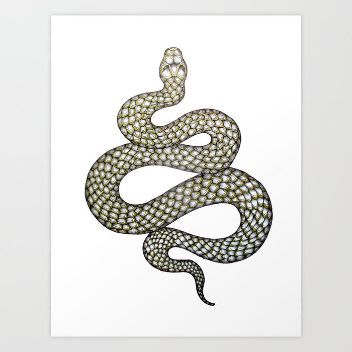 Snake's Charm Art Print by ECMazur | Society6