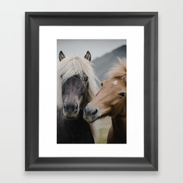 Happy Horses | Colour Framed Art Print