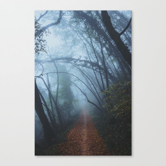 Magic forest Canvas Print