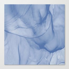 Lovely Blue Fog  Canvas Print
